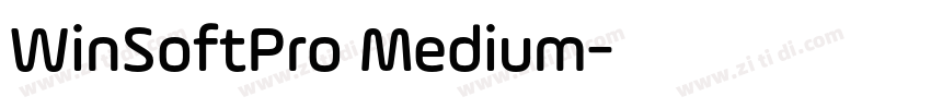 WinSoftPro Medium字体转换